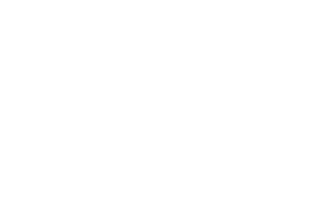 Jaggermeister